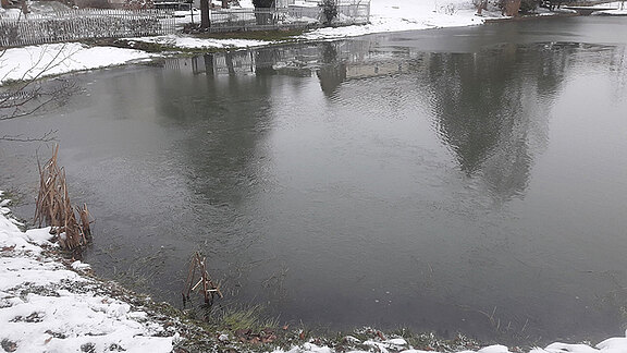 Teichgestaltung und Renaturierungsarbeiten