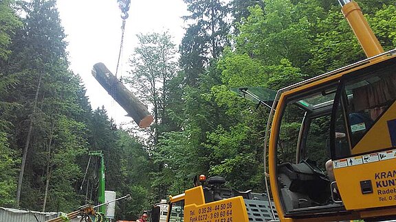Baumpflege mit Kraneinsatz