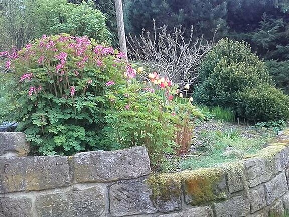 Bepflanzung und Dachbegrünung